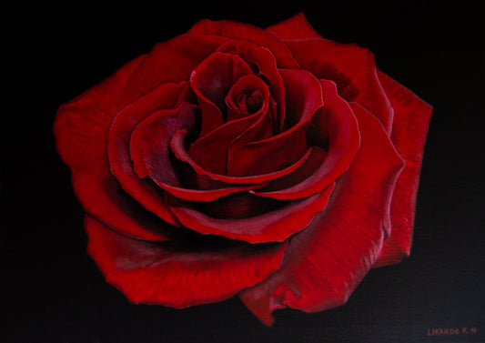 "Buy me a Rose" 16W x 11.8H inches (40cm x 30 cm)