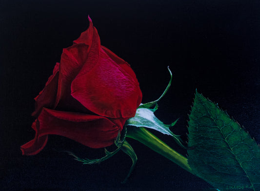"Buy Me a Rose" 16.5W x 11.7H inches (40cm x 30cm)