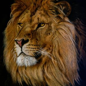 Painting of a lion