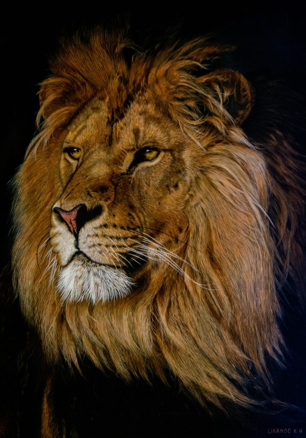 Painting of a lion